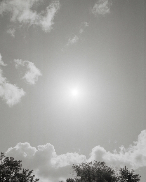 ZON 01 kopie
