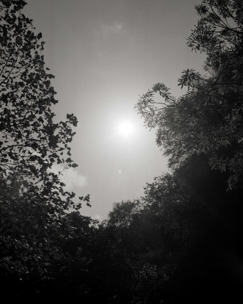 ZON 02 kopie