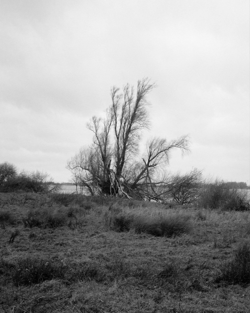 Tiengemeten verticaal 2