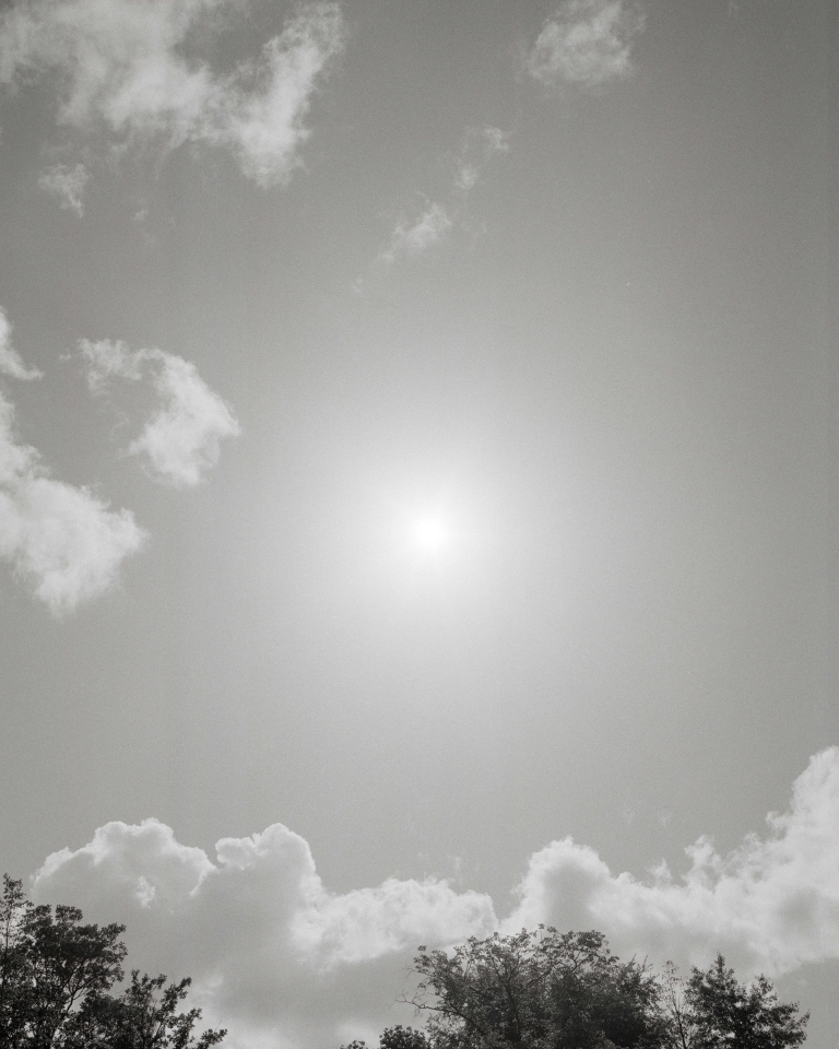 ZON 01 kopie