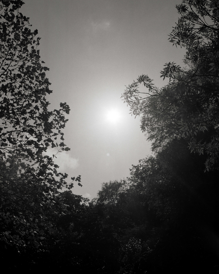 ZON 02 kopie