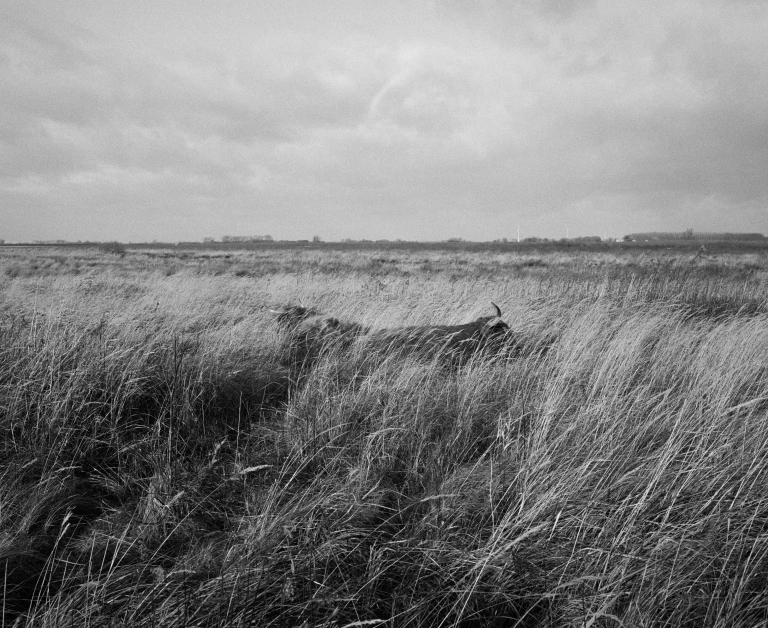 Tiengemeten horizontaal 6x7 7